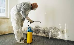 Mold Remediation for Vacation Homes in San Juan Capistrano, CA